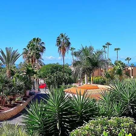 Estudio Borinquen Near The With Pool Апартаменти *